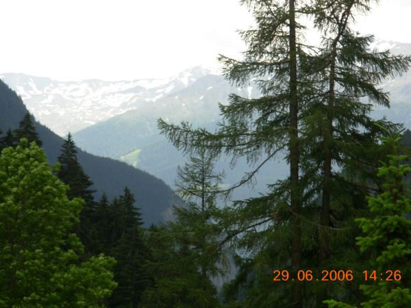 DSCN0306