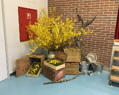 72. Delegiertenversammlung BSVL 2019