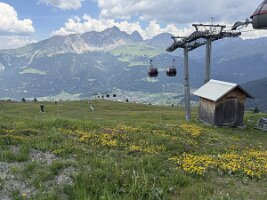 IMG_3888