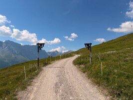 IMG_3904