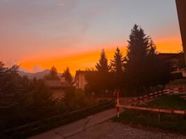 IMG_3905